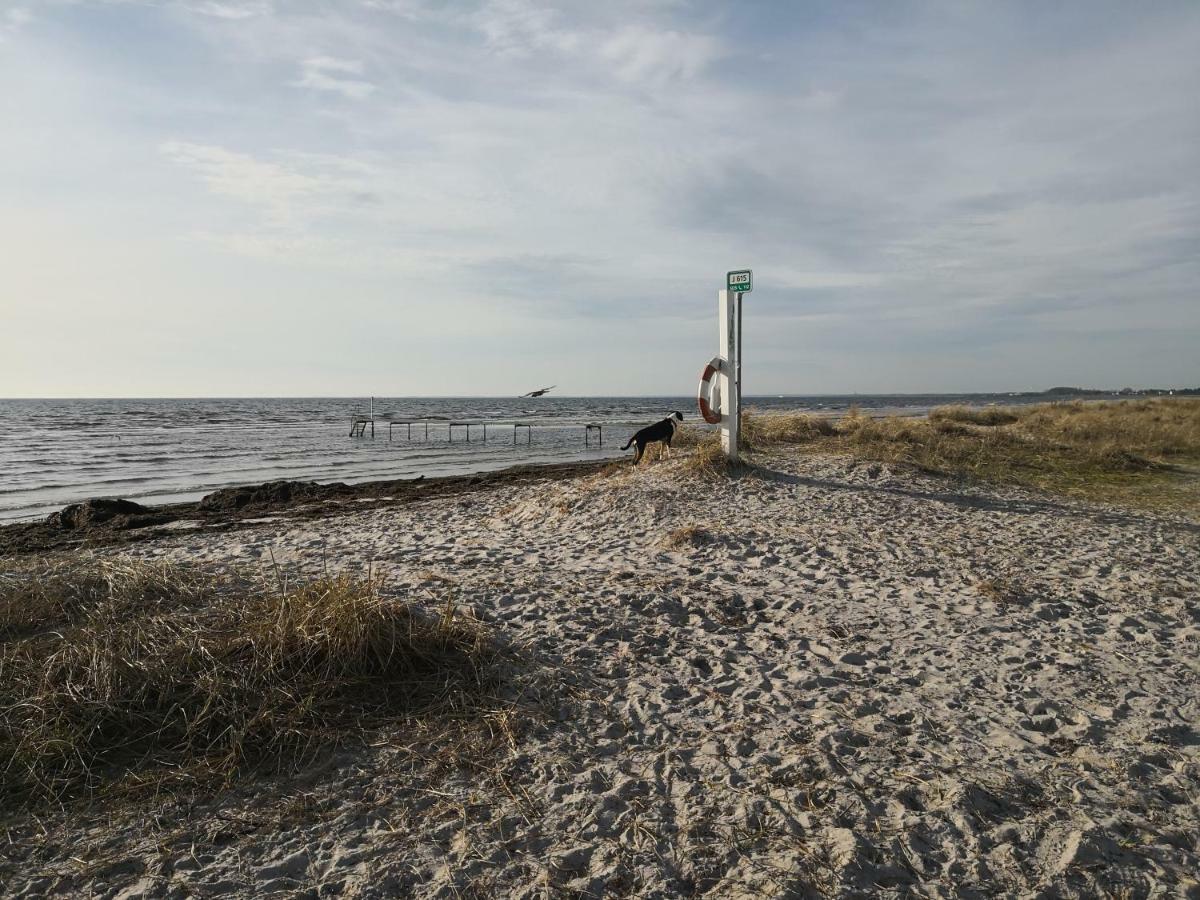 Spurvereden Ved Vandet Greve Extérieur photo